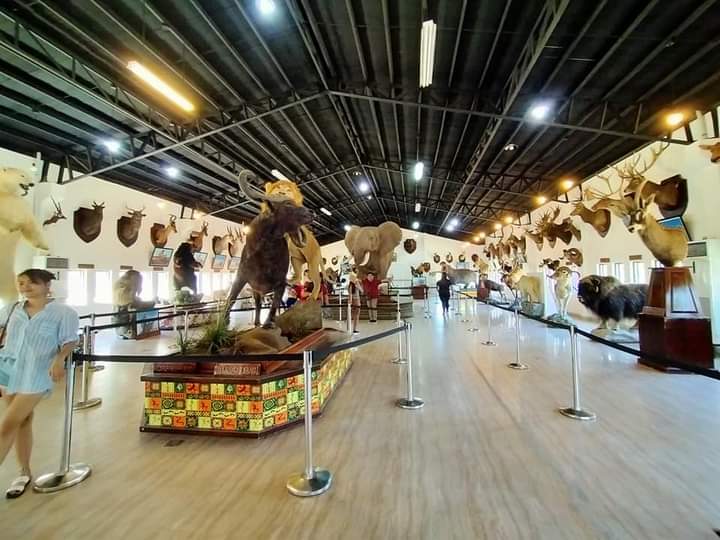 Baluarte Zoo and Safari Gallery in Vigan, Philippines