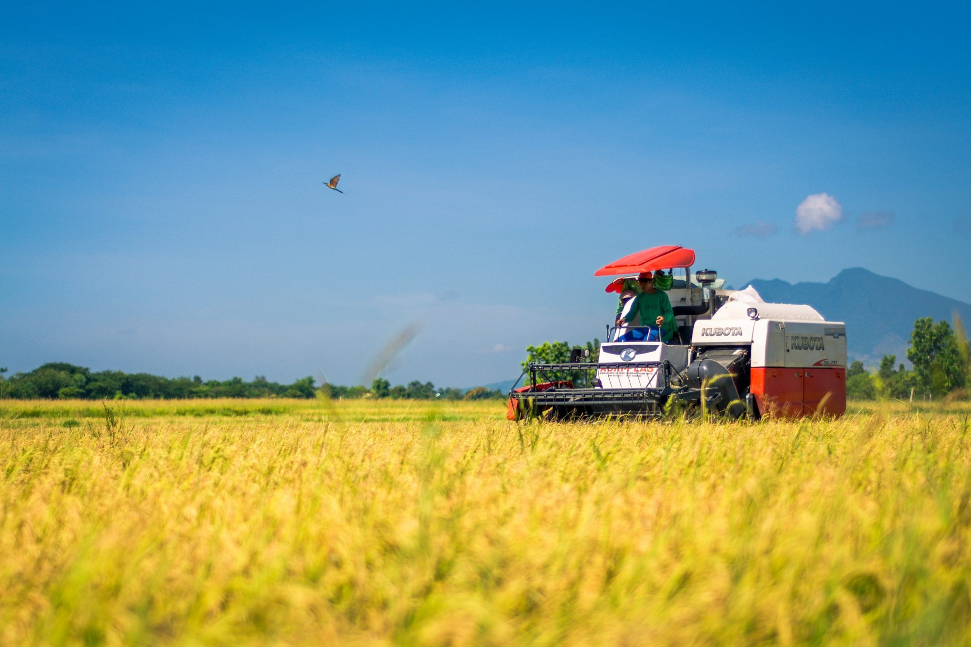 Impact of mechanization on agriculture picture