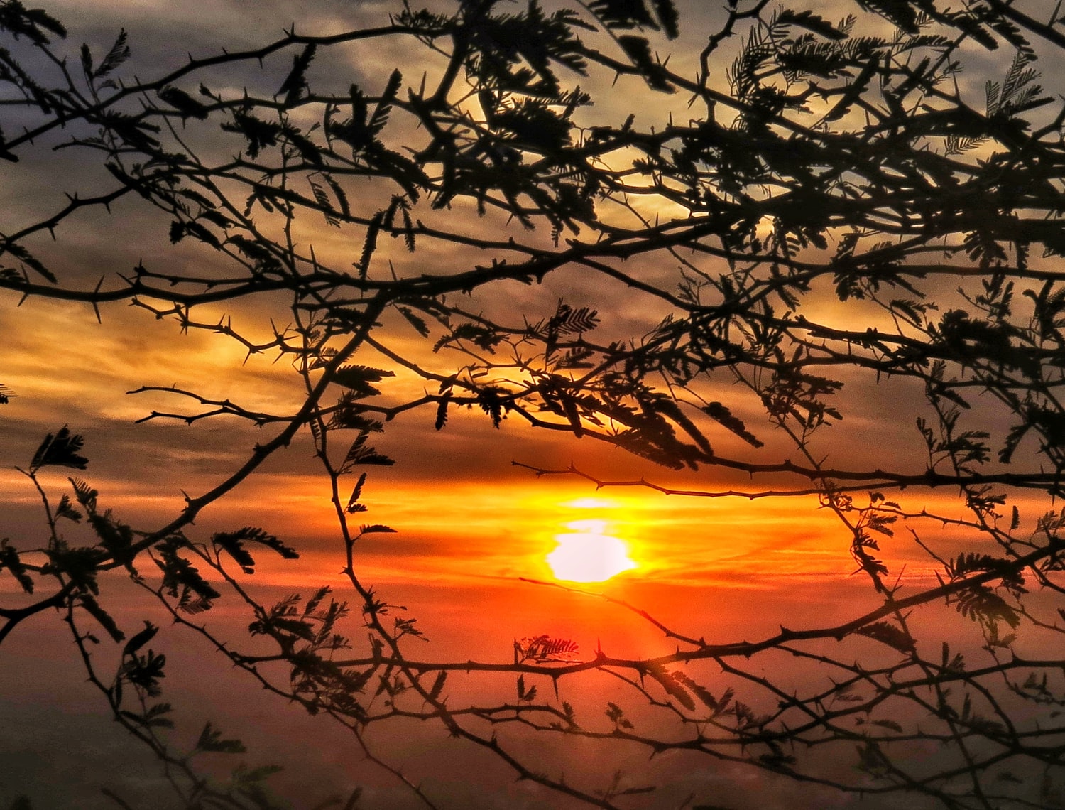 Bagong taon bagong pag asa essay 03 image